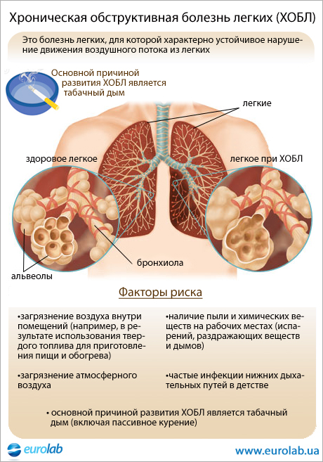 physico chemical and computational