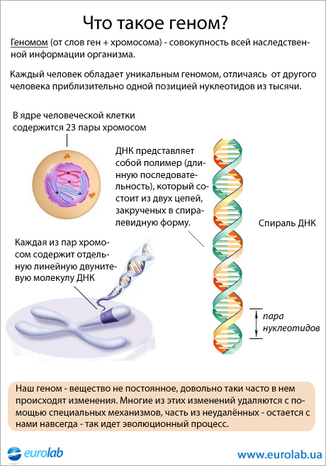 2 недели беременности как избавиться в домашних условиях 2 недели беременности как избавиться в домашних условиях