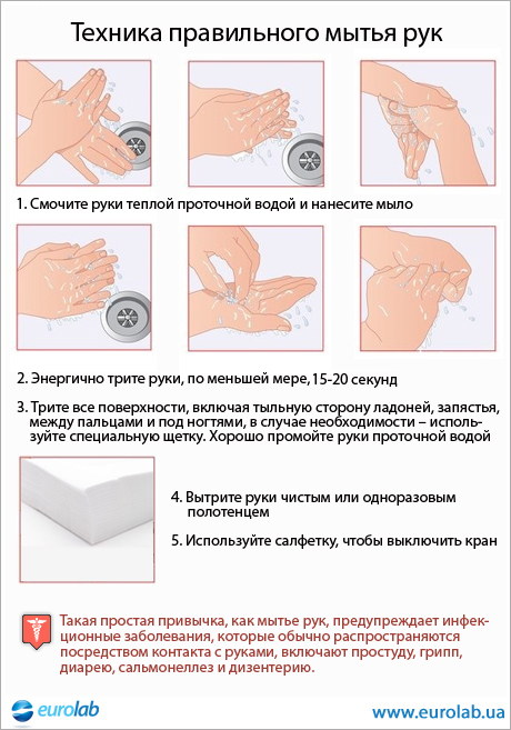 паразиты кишечника паразиты кишечника