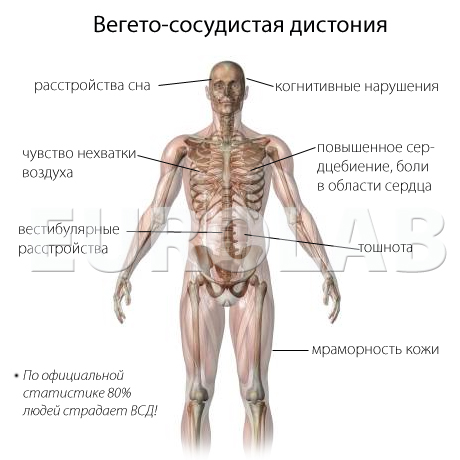 Маршала рыбалко детская больница