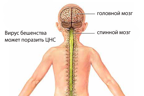Как точно бросить курить видео