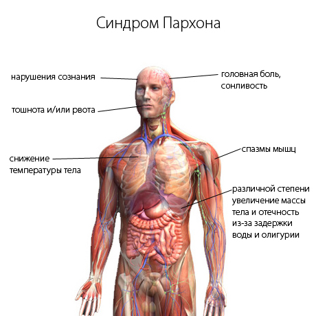 Внутренняя дрожь во всём теле Внутренняя дрожь во всём теле