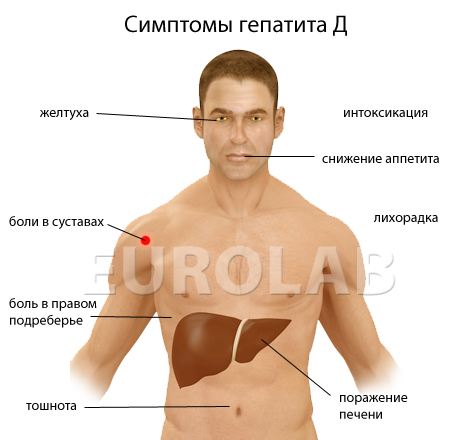 Эффективная химиотерапия при метастазах в печени