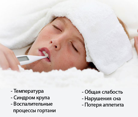 Что такое парагрипп у детей. Смотреть фото Что такое парагрипп у детей. Смотреть картинку Что такое парагрипп у детей. Картинка про Что такое парагрипп у детей. Фото Что такое парагрипп у детей