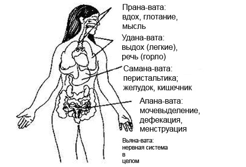 Болезни связанные с выделением Болезни связанные с выделением