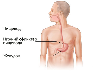 Народное лечение гэрб рецепты. piw4evod. Народное лечение гэрб рецепты фото. Народное лечение гэрб рецепты-piw4evod. картинка Народное лечение гэрб рецепты. картинка piw4evod. Отказ от ответсвенности