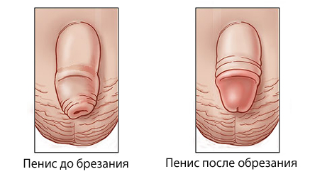 Скачать Программу Для Обрезания Фото На Русском Языке Бесплатно - фото 4