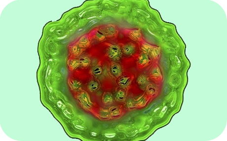 Вирус гепатита дельта