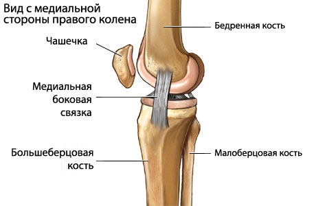 Болит косточка на правой ноге около щиколотки