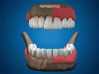 можно ли похудеть за 5 дней