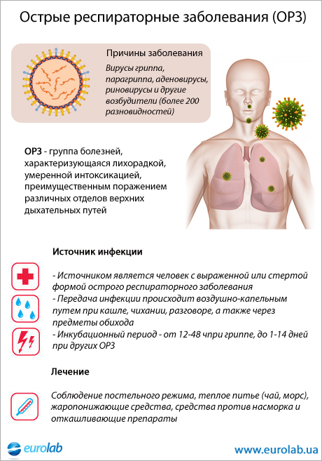 Причины заболеваний вирусов