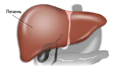 печеночная кома