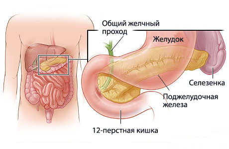 Хронический панкреатит у детей