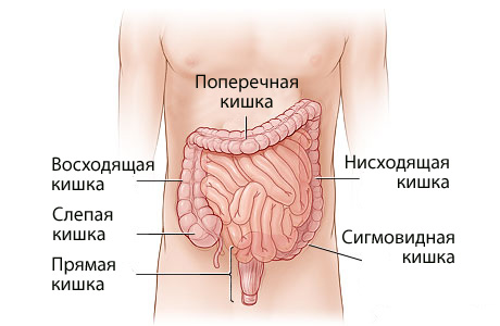 Синдром раздраженного кишечника у грудничка thumbnail
