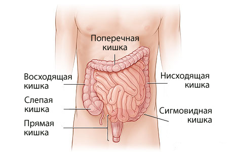 Синдром раздражённого кишечника у детей