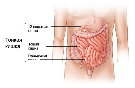 запеченное яблоко с корицей рецепт пошагово в духовке