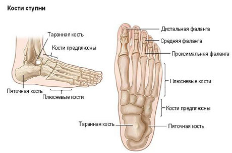 Ревматоидный артрит и натоптыши